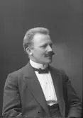 Mansporträtt