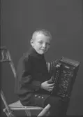 Björklunds gosse
