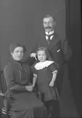 Familjen Larsson