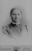 C. G. Pettersson