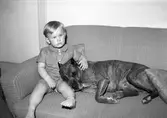Löjtnant Sven Rydströms son och hund. 4 maj 1945.