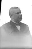 Mansporträtt