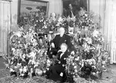 Konsul Emil Mattons 80-årsdag, fotografiet tagit i hemmet. 19 februari 1946. Konsul Emil Matton, Runebergsvägen 1, Gävle.