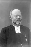 Mansporträtt