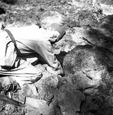 Vägbygge några mil norr om Storvik. Augusti 1950. Reportage för Gefle Dagblad och Norrlands-Posten.

