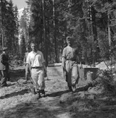 Vägbygge några mil norr om Storvik. Augusti 1950. Reportage för Gefle Dagblad och Norrlands-Posten.

