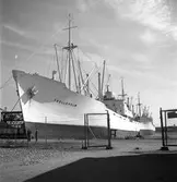 Gävle hamn, invasion av fartyg. Fredriksskans, 18 augusti 1950.


