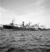 Gävle hamn, invasion av fartyg. Fredrikskans, 18 augusti 1950.


