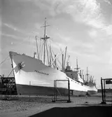 Gävle hamn, invasion av fartyg. Fredriksskans, 18 augusti 1950.


