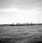 Gävle hamn, invasion av fartyg. Fredriksskans, 18 augusti 1950.


