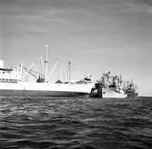 Gävle hamn, invasion av fartyg. Fredriksskans, 18 augusti 1950.


