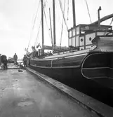 Gävle inre hamn, en tremastare. 16 oktober 1950.



