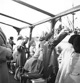 Skolresa, utflykt till Eggegrund med M/S Britt. 29 augusti 1950.



