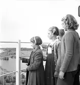 Skolresa, utflykt till Eggegrund med M/S Britt. 29 augusti 1950.



