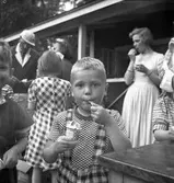 Rörbergs koloni, reportag.e 24 juni 1952.
