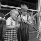 Rörbergs koloni, reportage. 24 juni 1952.
