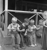 Rörbergs koloni, reportage. 24 juni 1952.
