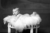 Ateljébild på ett okänt barn på ett fårskinn. Enligt Walter Olsons journal är bilden beställd av S Pettersson.