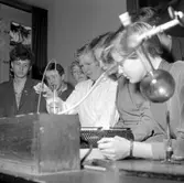 Hällefors. Bildsidan.
27 november 1955.