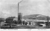 Essviks sulfitfabrik invigdes år 1900 som Medelpads första sulfitfabrik, uppförd av Sundsvalls Cellulosa AB. Industrianläggningen revs 1980. Vykort.