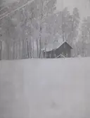 Tuna gård på vintern.