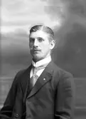 Gustaf Bolin, Kastet, Bomhus