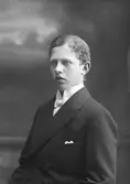 A. F. Borgströms son