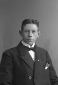 Rickard Öström, Tegelbruket, Älvkarleö
