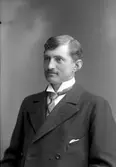 Emil Österholm, Bomhus