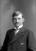 Emil Österholm, Bomhus