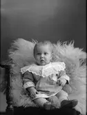 Anna Björklunds son Walter