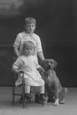Barnen Bodén med hund