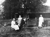 Ullanda-vallen.
Motiv från fäbodvallen i Ullanda 1910-1923.
Okända fäbodflickor.