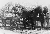 Martin Markusson,Skogsholma, på väg till mejeriet med österbyggebos mjölk.
Barnen är Ragnhild Larsson och Karin Sundberg.
Förmodligen 1928.