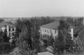 Utsikt från hotellet.
