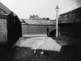 Krokgränd
