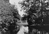 Gävle stad – Väster. Vy från Stadsträdgården.

