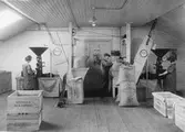 Victor Engwalls, 1921.
Avdelning för paketering.
