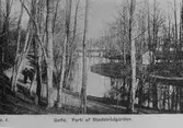 Gävle stad – Väster,Parti av Stadsträdgården.

