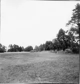 Äng norr om vägen till SMU:s ungdomsgård,
se bild nr 1.
Bilderna tillhör ett avstyckningsärende dnr 81/349.