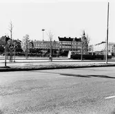 Hamntorget med busstation.
