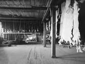 Djurhudar i Läderfabriken i Gävle.