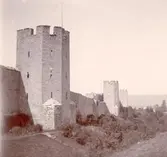 Långa Lisa i Visby ringmur.