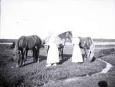 Två damer och tre hästar vid Tuna gård.