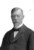 Georg Chruzander, lektor, Fil. dr., Stadsfullmäktig