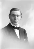 David Pettersson, Kastet 15, Bomhus