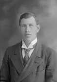 Axel Sjöström, Trödje
