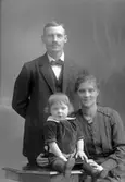 Familjen Olsson, Talltäppan nr 1