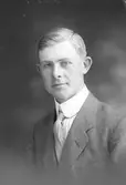Daniel Karlsson, Tjärna, Krylbo
