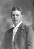 P. Hallström, Björking, Sollefteå